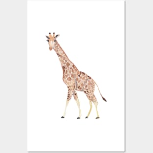 Watercolour Giraffe with pink sky Posters and Art